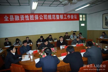 全縣融資性擔(dān)保公司規(guī)范整頓工作會(huì)議順利召開