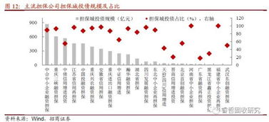 6號文紓民企出新招，堵城投斬擔?！谫Y性擔保機構角色再思考